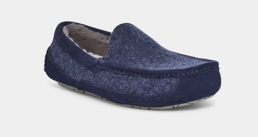 UGG Men's Ascot Wool Slippers in Dark Sapphire – Premium Comfort & Style
